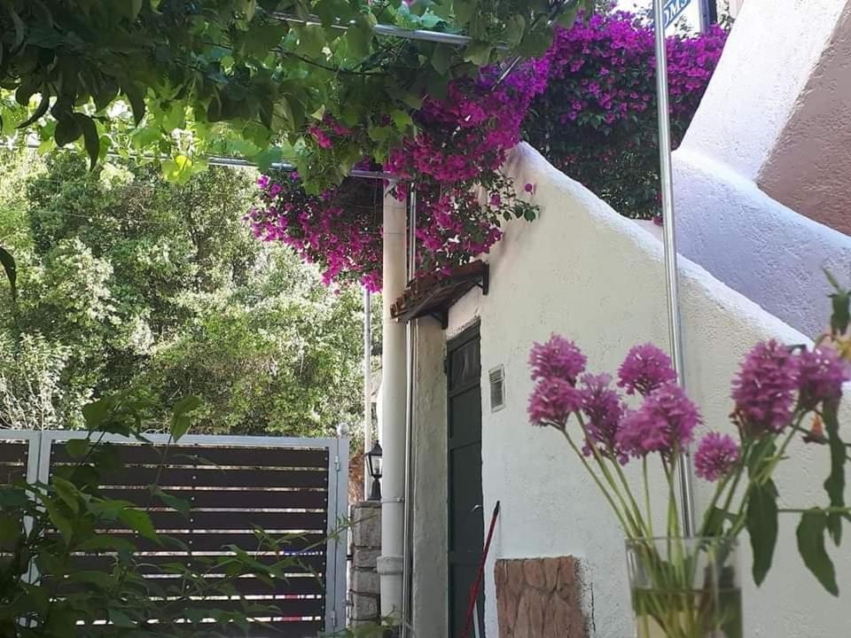 Achilleas Rooms Sivota  Exterior photo